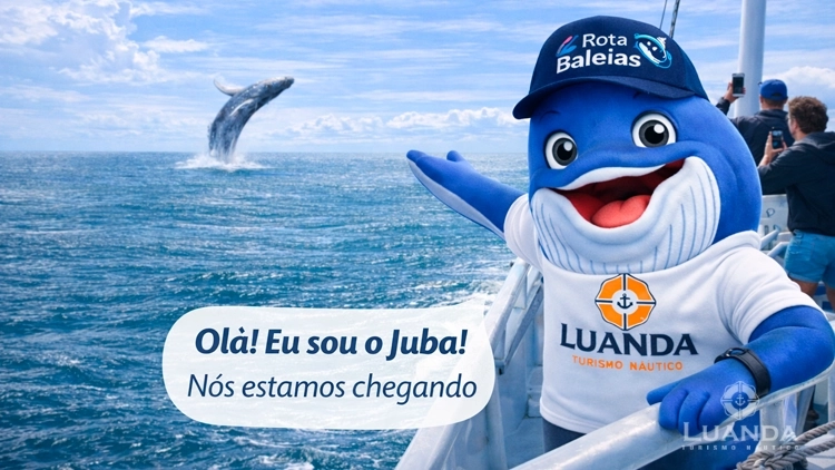 Observa&ccedil;&atilde;o de Baleias Jubarte
